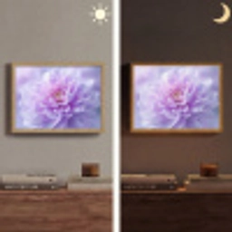 Paars - Dahlia - Dromerig Light Box met batterij (Wandlamp) middel -sfeer3