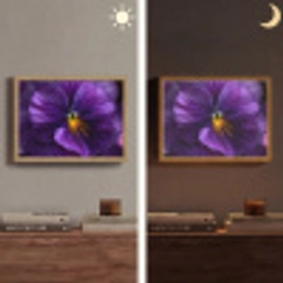 Paars - Viool - Diepte Light Box met batterij (Wandlamp) middel -sfeer3