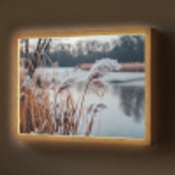 Riet - Gras - Natuur - Winter - Meer Light Box met batterij (Wandlamp) middel -z3d_website