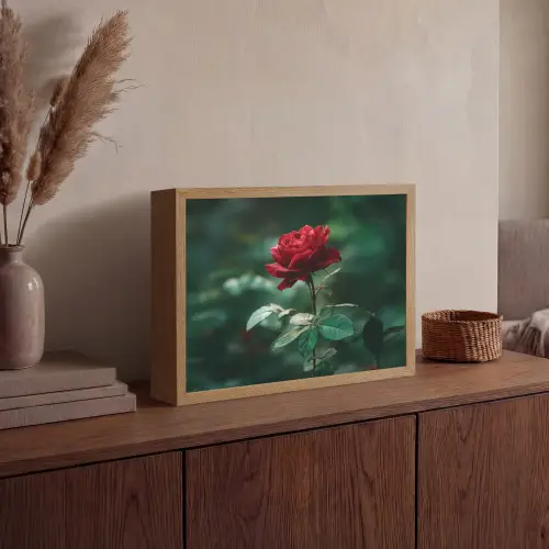 Roos - Bladeren - Dieprood Light Box met batterij (Wandlamp) middel -sfeer2