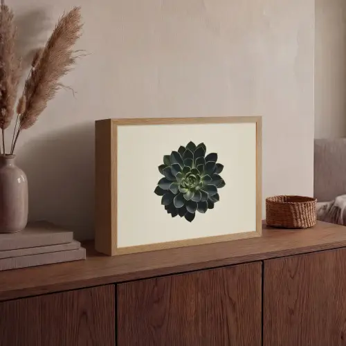 Rozet - Cirkelvormig - Donkergroen Light Box met batterij (Wandlamp) middel -sfeer2