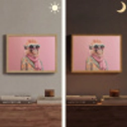 Sjaal - Aap - Zonnebril - Jasje Light Box met batterij (Wandlamp) middel -sfeer3