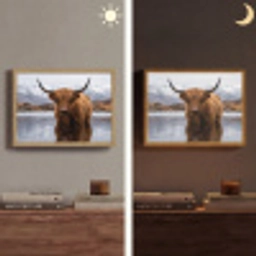 Schotse hooglander - Bruin - Water Light Box met batterij (Wandlamp) middel -sfeer3