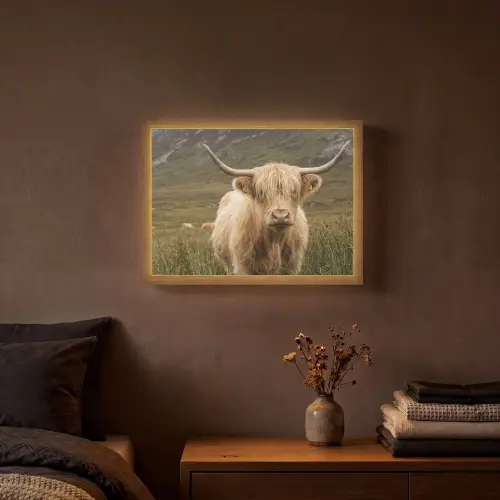 Schotse hooglander - Bergen - Grasveld Light Box met batterij (Wandlamp) middel -sfeer4