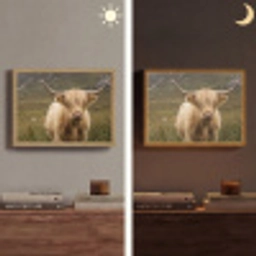 Schotse hooglander - Bergen - Grasveld Light Box met batterij (Wandlamp) middel -sfeer3