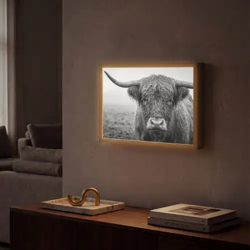 Schotse hooglander - Zwart - Wit - Gras Light Box met batterij (Wandlamp) middel -sfeer1
