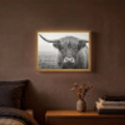 Schotse hooglander - Zwart - Wit - Gras Light Box met batterij (Wandlamp) middel -sfeer4