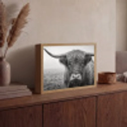 Schotse hooglander - Zwart - Wit - Gras Light Box met batterij (Wandlamp) middel -sfeer2