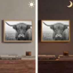 Schotse hooglander - Zwart - Wit - Gras Light Box met batterij (Wandlamp) middel -sfeer3