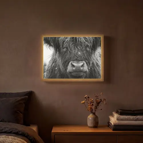 Schotse hooglander - Zwart - Wit - Sneeuwvlokken Light Box met batterij (Wandlamp) middel -sfeer4