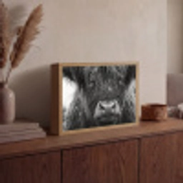 Schotse hooglander - Zwart - Wit - Sneeuwvlokken Light Box met batterij (Wandlamp) middel -sfeer2