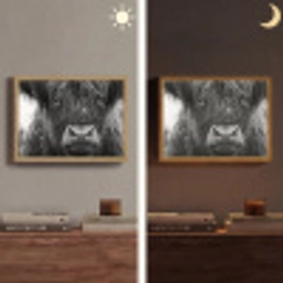 Schotse hooglander - Zwart - Wit - Sneeuwvlokken Light Box met batterij (Wandlamp) middel -sfeer3
