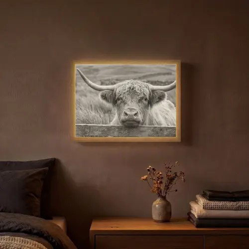 Schotse hooglander - Zwart - Wit - Hout Light Box met batterij (Wandlamp) middel -sfeer4