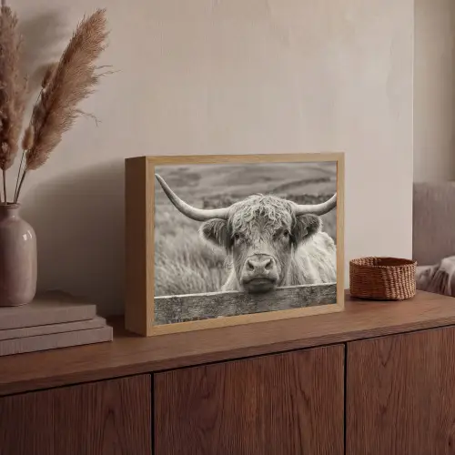 Schotse hooglander - Zwart - Wit - Hout Light Box met batterij (Wandlamp) middel -sfeer2