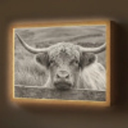 Schotse hooglander - Zwart - Wit - Hout Light Box met batterij (Wandlamp) middel -z3d_website