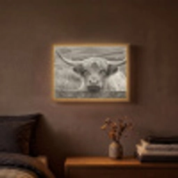 Schotse hooglander - Zwart - Wit - Hout Light Box met batterij (Wandlamp) middel -sfeer4
