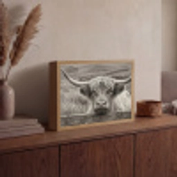 Schotse hooglander - Zwart - Wit - Hout Light Box met batterij (Wandlamp) middel -sfeer2