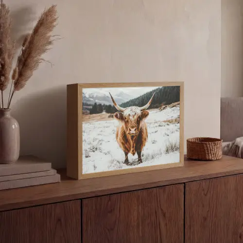 Schotse Hooglander - Landschap - Sneeuw - Bergen - Winter Light Box met batterij (Wandlamp) middel -sfeer2