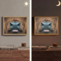Schotse hooglander - Neus - Bruin Light Box met batterij (Wandlamp) middel -sfeer3