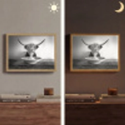 Schotse Hooglander - Spaghetti - Dieren - Zwart wit Light Box met batterij (Wandlamp) middel -sfeer3
