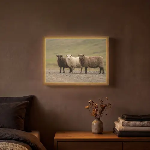 Schapen - Bruin - Wit - Grindpad Light Box met batterij (Wandlamp) middel -sfeer4