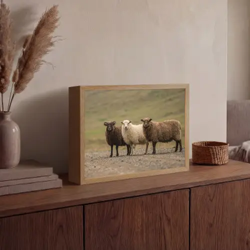 Schapen - Bruin - Wit - Grindpad Light Box met batterij (Wandlamp) middel -sfeer2
