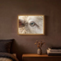 Schaap - Oog - Wit Light Box met batterij (Wandlamp) middel -sfeer4