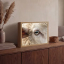 Schaap - Oog - Wit Light Box met batterij (Wandlamp) middel -sfeer2
