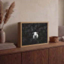 Schapen - Wit - Duisternis Light Box met batterij (Wandlamp) middel -sfeer2