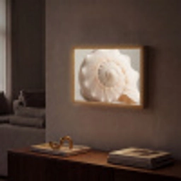 Schelp - Detail - Beige Light Box met batterij (Wandlamp) middel -sfeer1