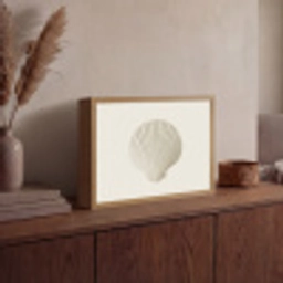 Schelp - Minimalistisch - Wit Light Box met batterij (Wandlamp) middel -sfeer2