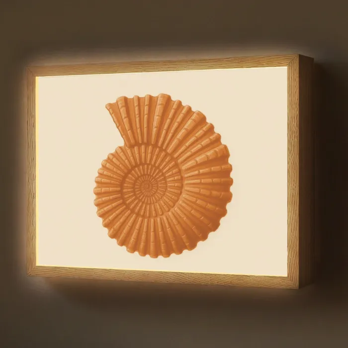 Schelp - Oranje - Ribbels Light Box met batterij (Wandlamp) middel -z3d_website