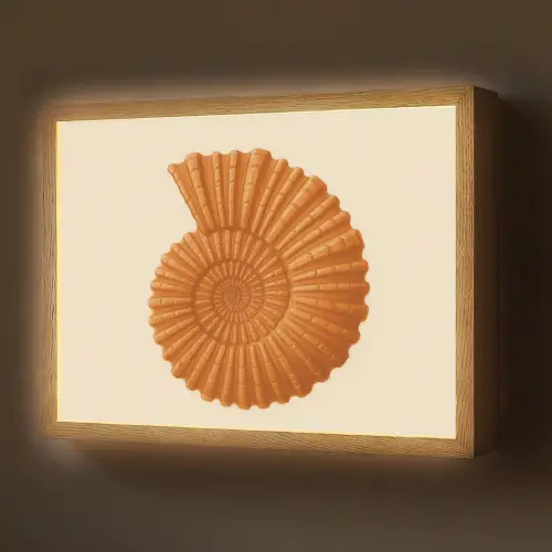 Schelp - Oranje - Ribbels Light Box met batterij (Wandlamp) middel -z3d_website
