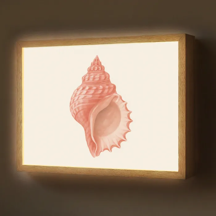 Schelp - Roze - Structuur Light Box met batterij (Wandlamp) middel -z3d_website