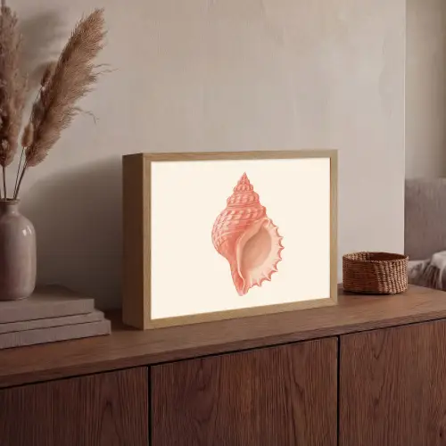 Schelp - Roze - Structuur Light Box met batterij (Wandlamp) middel -sfeer2