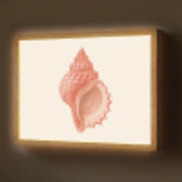 Schelp - Roze - Structuur Light Box met batterij (Wandlamp) middel -z3d_website