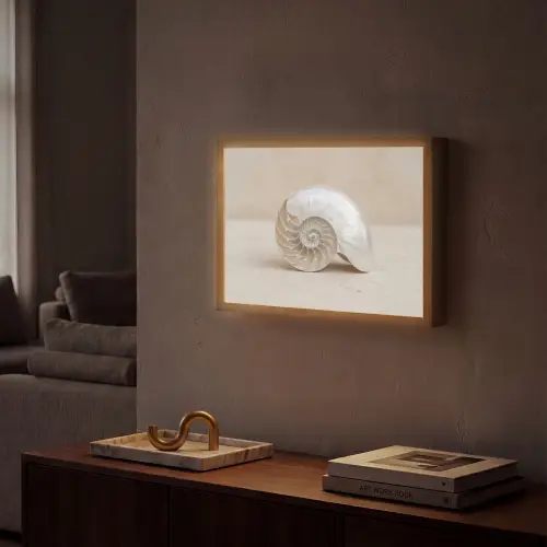Schelp - Spiraal - Beige Light Box met batterij (Wandlamp) middel -sfeer1