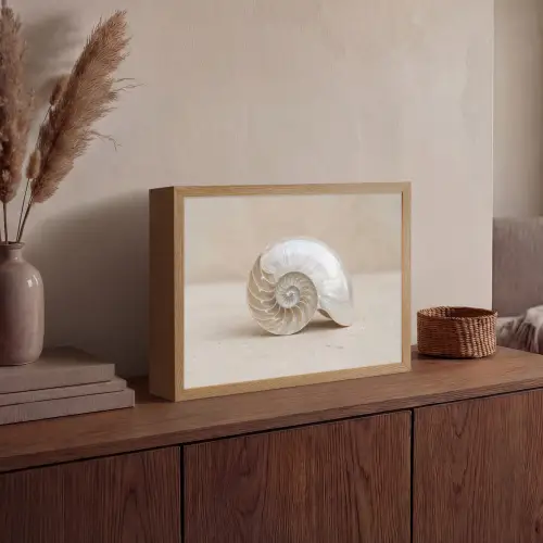 Schelp - Spiraal - Beige Light Box met batterij (Wandlamp) middel -sfeer2