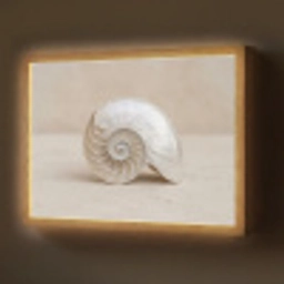 Schelp - Spiraal - Beige Light Box met batterij (Wandlamp) middel -z3d_website