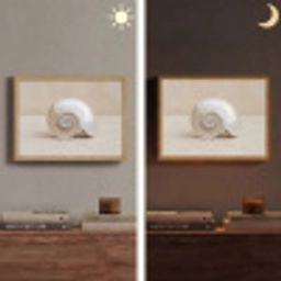 Schelp - Spiraal - Beige Light Box met batterij (Wandlamp) middel -sfeer3