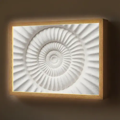 Schelp - Spiraal - Wit Light Box met batterij (Wandlamp) middel -z3d_website
