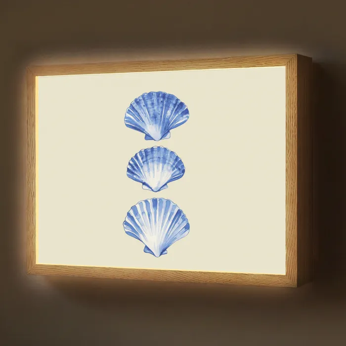 Schelpen - Blauw - Beige Light Box met batterij (Wandlamp) middel -z3d_website