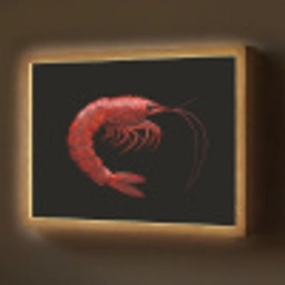 Garnaal - Rood - Dieren Light Box met batterij (Wandlamp) middel -z3d_website