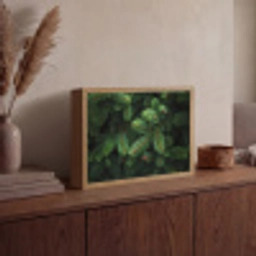 Sparrentakken - Knoppen - Naalden - Groen Light Box met batterij (Wandlamp) middel -sfeer2