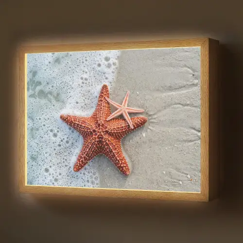 Zeester - Strand - Zee Light Box met batterij (Wandlamp) middel -z3d_website