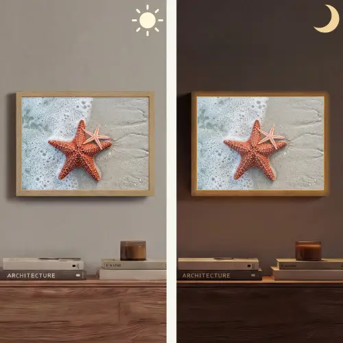 Zeester - Strand - Zee Light Box met batterij (Wandlamp) middel -sfeer3