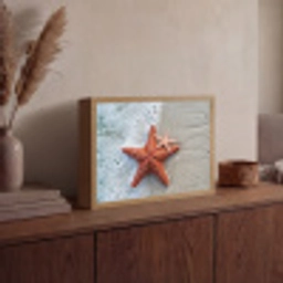 Zeester - Strand - Zee Light Box met batterij (Wandlamp) middel -sfeer2