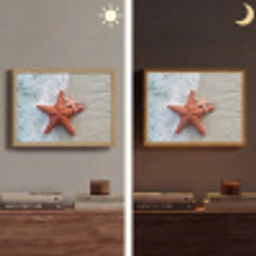 Zeester - Strand - Zee Light Box met batterij (Wandlamp) middel -sfeer3