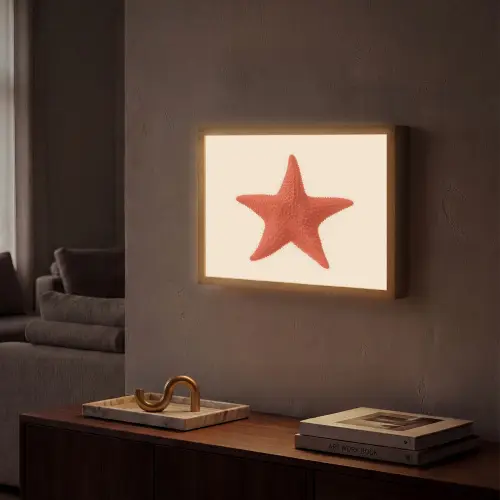 Zeester - Bobbels - Rood Light Box met batterij (Wandlamp) middel -sfeer1