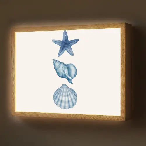Zeester - Schelpen - Blauw Light Box met batterij (Wandlamp) middel -z3d_website